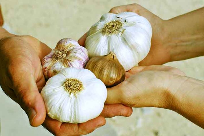 Queratina 