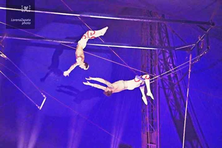 Dia do Circo
