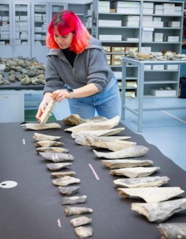 Arqueólogos descobrem ossos usados como ferramentas por ancestrais humanos há 1,5 milhão de anos