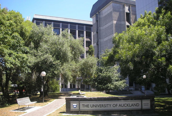 O episÃ³dio aconteceu durante uma expediÃ§Ã£o no golfo de Hauraki, conduzida por cientistas da Universidade de Auckland, que estudavam predadores marinhos.