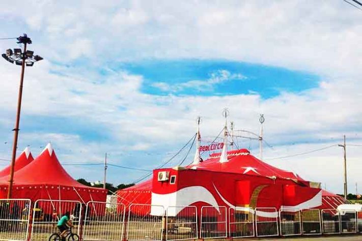 Dia do Circo