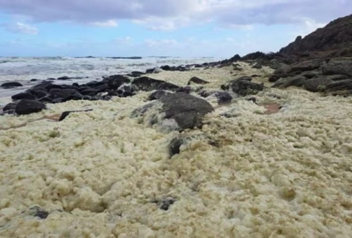 Espuma misteriosa em praia da Austrália deixa mais de 100 pessoas doentes e causa a morte de animais marinhos