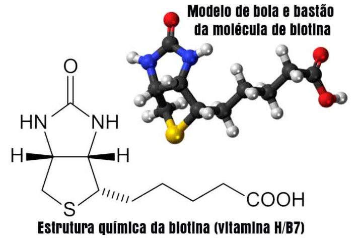 Queratina 