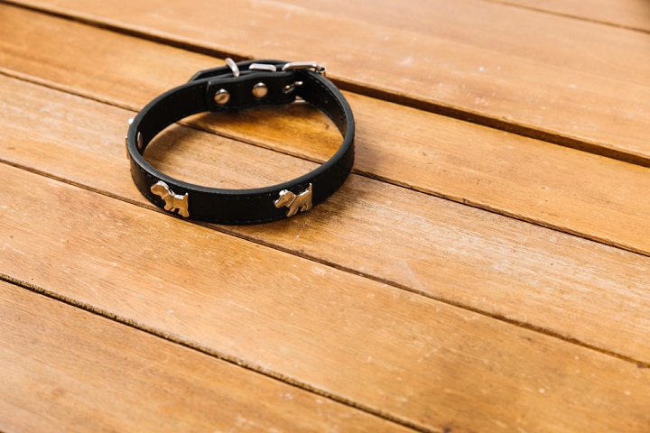 Dentro da lixeira, também foram encontrados a coleira e outros pertences do cachorro. -freepik