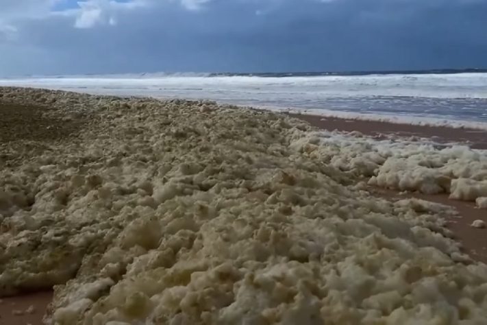 Espuma misteriosa em praia da Austrália deixa mais de 100 pessoas doentes e causa a morte de animais marinhos