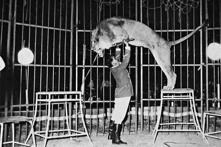 Dia do Circo