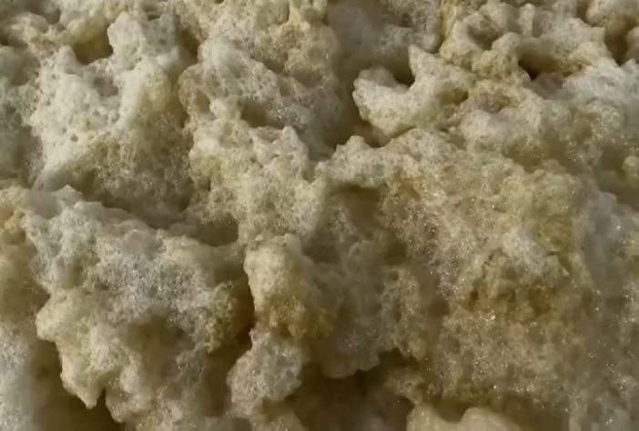Espuma misteriosa em praia da Austrália deixa mais de 100 pessoas doentes e causa a morte de animais marinhos