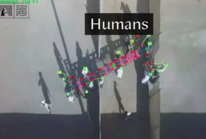 Formigas superam humanos em teste de inteligência
