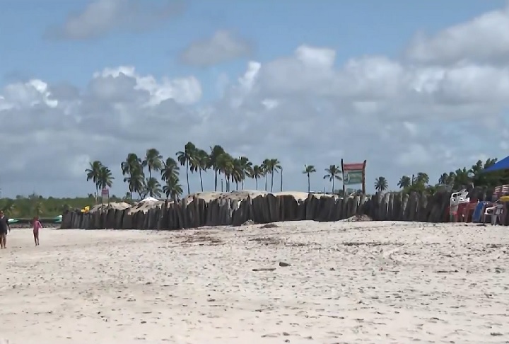 Especialistas do Ibama afirmam que, em vez de resolver o problema, o muro tem piorado a situação, alterando o ecossistema local e prejudicando a fauna e a flora da região.