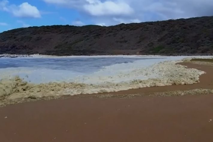 Espuma misteriosa em praia da Austrália deixa mais de 100 pessoas doentes e causa a morte de animais marinhos