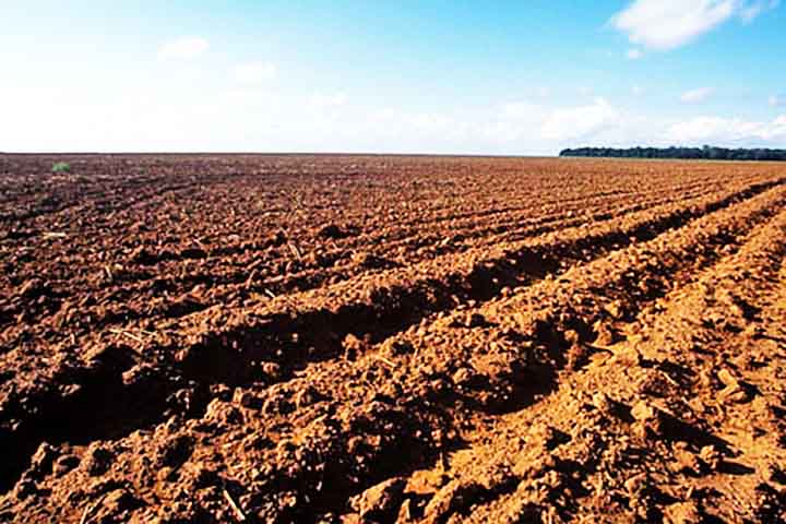 A busca por alternativas sustentÃ¡veis, como o uso de urina como fertilizante e a adoÃ§Ã£o de biofertilizantes, demonstra a importÃ¢ncia de soluÃ§Ãµes inovadoras para reduzir impactos ambientais e melhorar a eficiÃªncia dos cultivos.