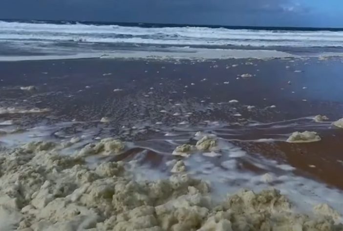 Espuma misteriosa em praia da Austrália deixa mais de 100 pessoas doentes e causa a morte de animais marinhos