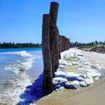 Muro construído na Praia de Maracaípe, em Pernambuco, gera polêmica