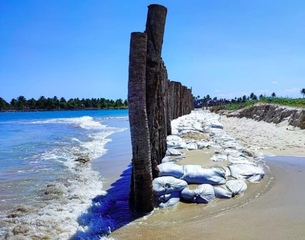 Muro construído na Praia de Maracaípe, em Pernambuco, gera polêmica