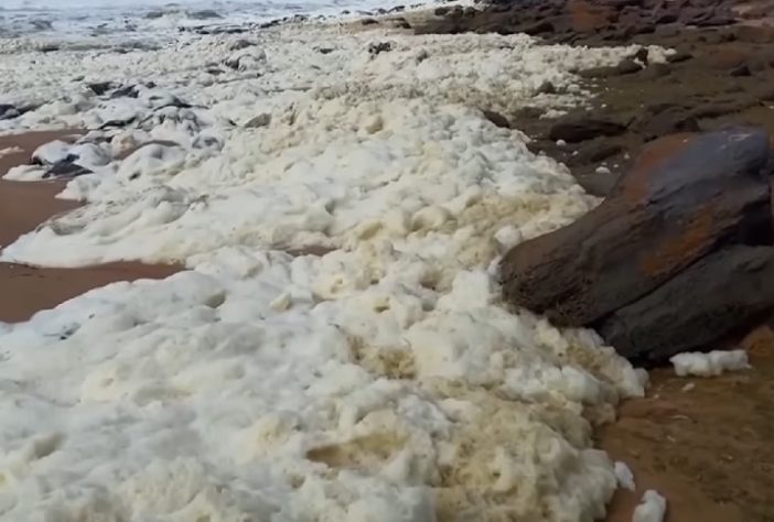 Espuma misteriosa em praia da Austrália deixa mais de 100 pessoas doentes e causa a morte de animais marinhos