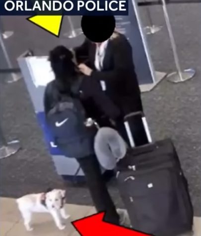 Mulher é presa nos EUA acusada de matar próprio cachorro em Aeroporto da Flórida