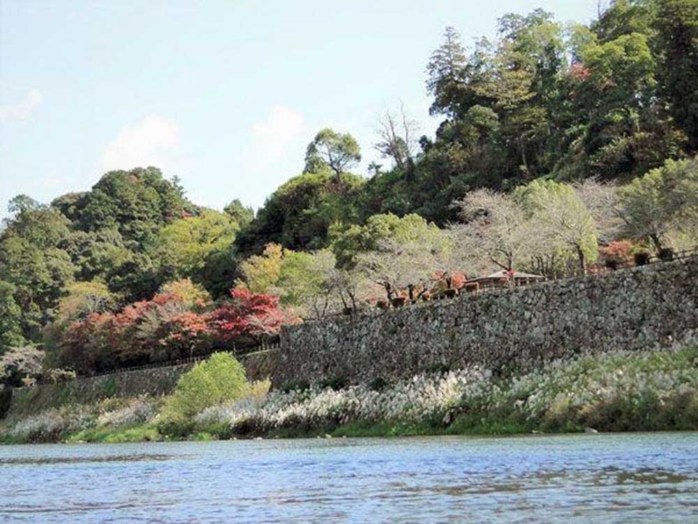 Aoi (Kumamoto): Localizada na região de Kuma, tem aproximadamente 2.200 habitantes. Destaca-se por suas florestas densas e rios cristalinos.
