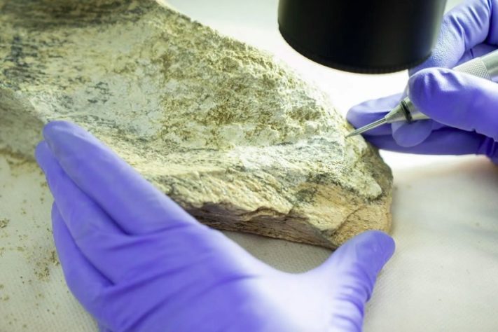 Arqueólogos descobrem ossos usados como ferramentas por ancestrais humanos há 1,5 milhão de anos