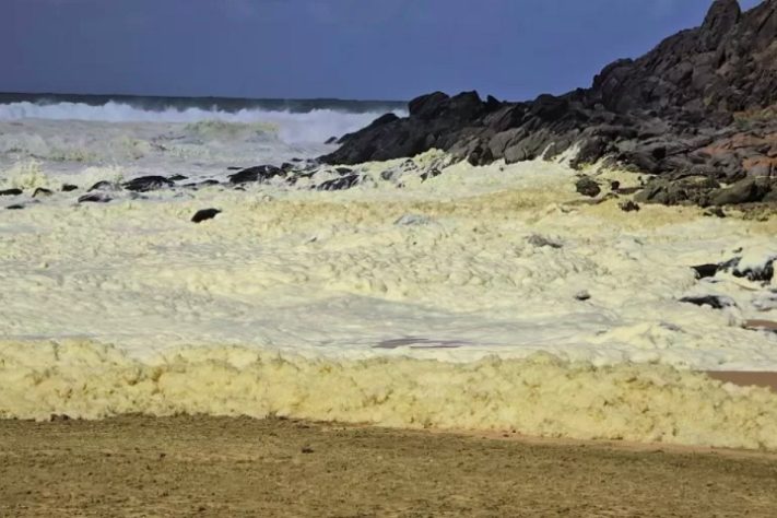 Espuma misteriosa em praia da Austrália deixa mais de 100 pessoas doentes e causa a morte de animais marinhos