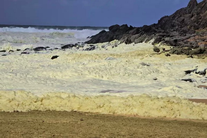 Espuma misteriosa em praia da Austrália deixa mais de 100 pessoas doentes e causa a morte de animais marinhos