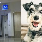 Mulher é presa nos EUA acusada de matar próprio cachorro em Aeroporto da Flórida