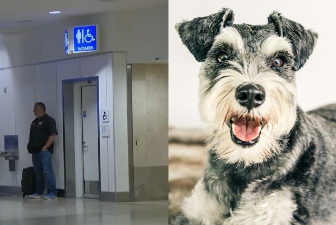 Pra quem não viu: Mulher é presa por matar o próprio cachorro em aeroporto dos EUA