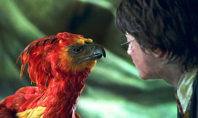 Fawkes – Fênix de Dumbledore, capaz de renascer das próprias cinzas e curar feridas com lágrimas. Ajuda Harry a derrotar o Basilisco na Câmara Secreta.
