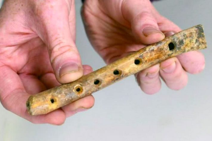 Instrumento de osso