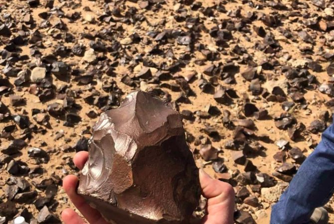 Machado de 1,5 milhão de anos é achado em deserto no Iraque