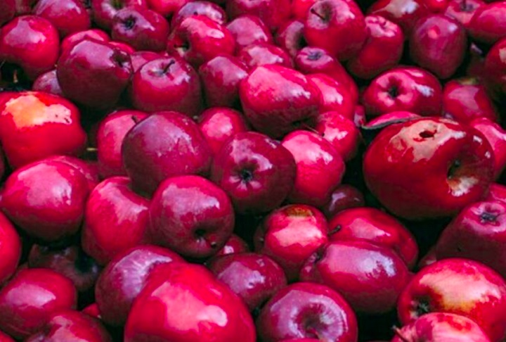 6º) Mila Zagoras Piliou (Grécia) - Essas são maçãs originadas da variedade Starking Delicious, cultivadas nas regiões de Zagora, Makrirahi e Pouriou. Elas possuem características distintas a depender da alta altitude em que são cultivadas e das condições climáticas.