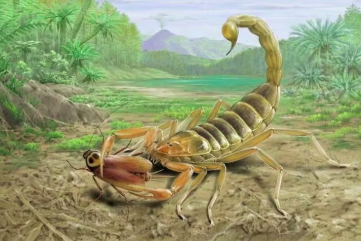 Descoberto fóssil de escorpião que viveu com dinossauros há 125 milhões de anos