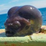 Pescador captura peixe inusitado na Rússia e viraliza nas redes sociais