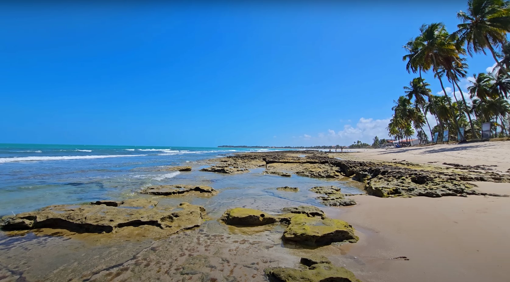 Praia de Carneiros (PE): Com coqueiros e areia branca, essa praia em Tamandaré tem um mar raso e tranquilo, ideal para banho e passeios de barco.-Reprodução Youtube