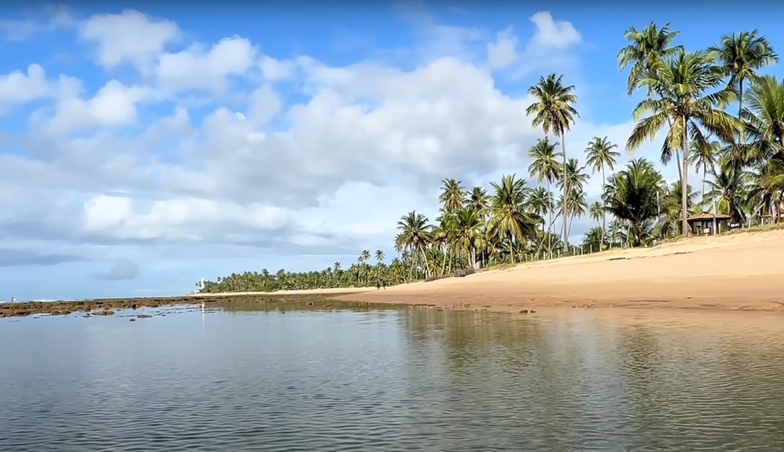 Praia do Forte (BA): Além da beleza natural, oferece mar tranquilo e estrutura excelente para famílias, com recifes que suavizam as ondas.-Reprodução Youtube
