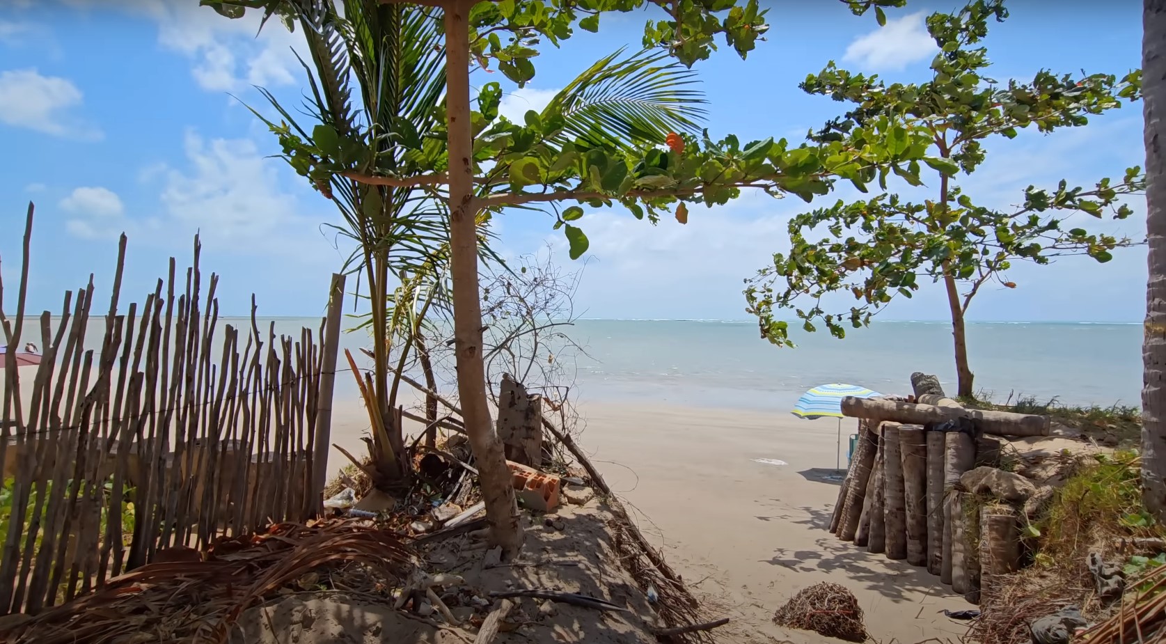 Praia do Patacho (AL): Com areia branca, coqueiros e um mar praticamente sem ondas, é um refúgio sossegado para quem busca descanso.-Reprodução Youtube