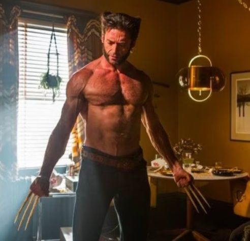 Hugh Jackman Wolverine
