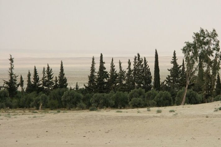 Deserto Sírio/Iraque