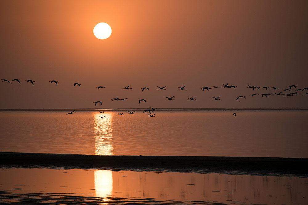 Walvis Bay, Namíbia: Conhecida por suas dunas de areia e vida selvagem marinha, Walvis Bay é uma parada única para cruzeiros que exploram a costa sudoeste africana. 
