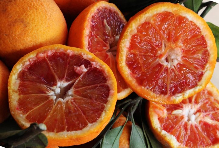 17º) Citrinos do Algarve (Portugal) - A região do Algarve, em Portugal, é conhecida por produzir uma grande variedade de frutas cítricas. Elas têm tanto valor cultural que, desde tempos antigos, são usadas para decorar árvores de Natal.