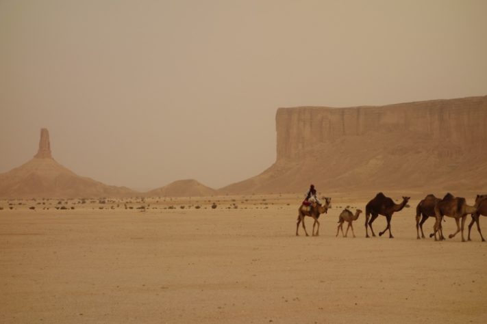 Deserto Sírio/Iraque