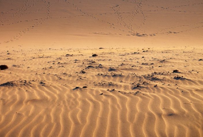 Deserto Sírio - Deserto do Iraque