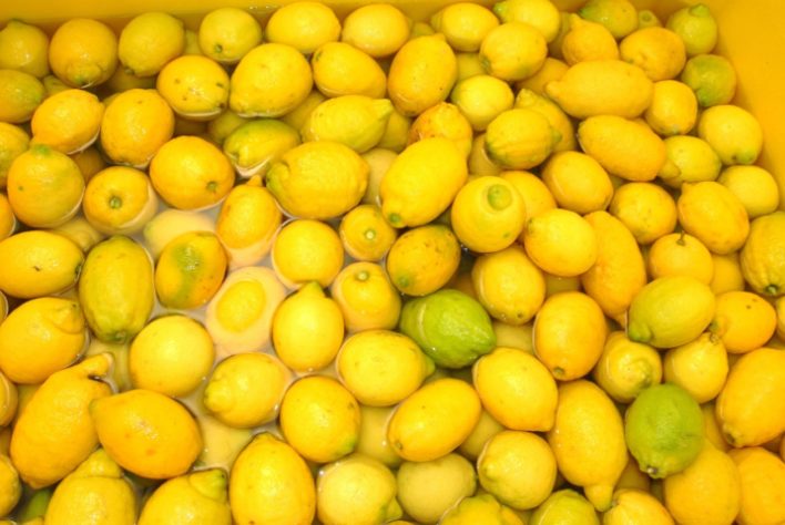 Limone di Sorrento