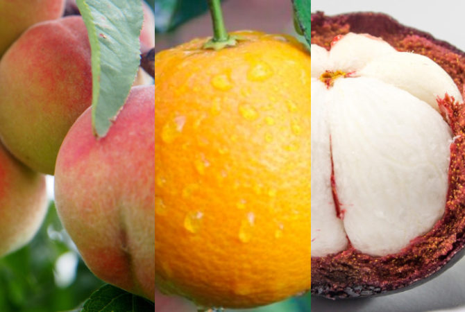 Fruta brasileira é eleita uma das 10 melhores do mundo; veja ranking!