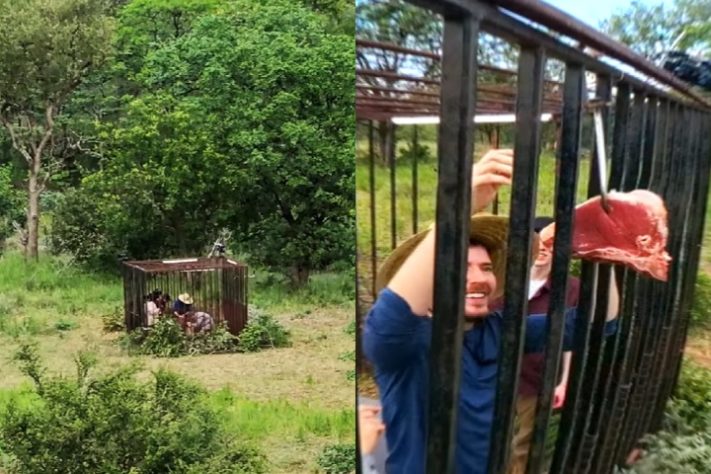 Safári na África - Youtuber MrBeast elege os 'cinco lugares mais mortais do mundo'