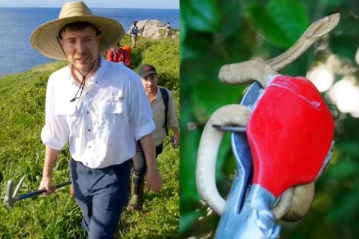 Montagem - MrBeast elege 'Ilha das Cobras', em SP, o lugar mais mortal do mundo