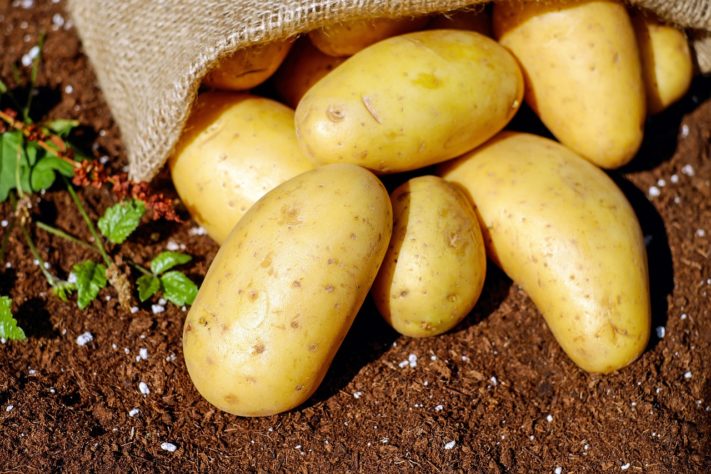 Batata Frita