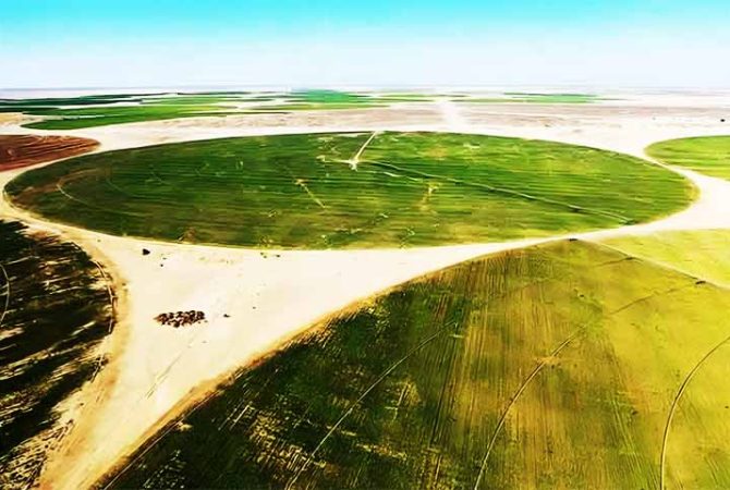 Chineses conseguem fazer agricultura em pleno deserto do Egito