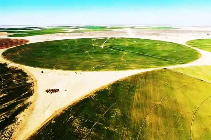 Experiência agrícola no deserto