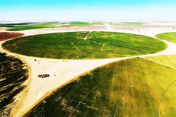 Batizado de Canal Sugar, o projeto tem como meta transformar 50 mil hectares de deserto - Projeto chinês cria plantações de beterraba em deserto do Egito - Divulgação Xinhua