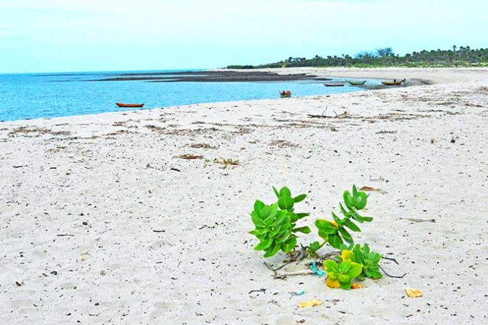 Litoral do Piauí